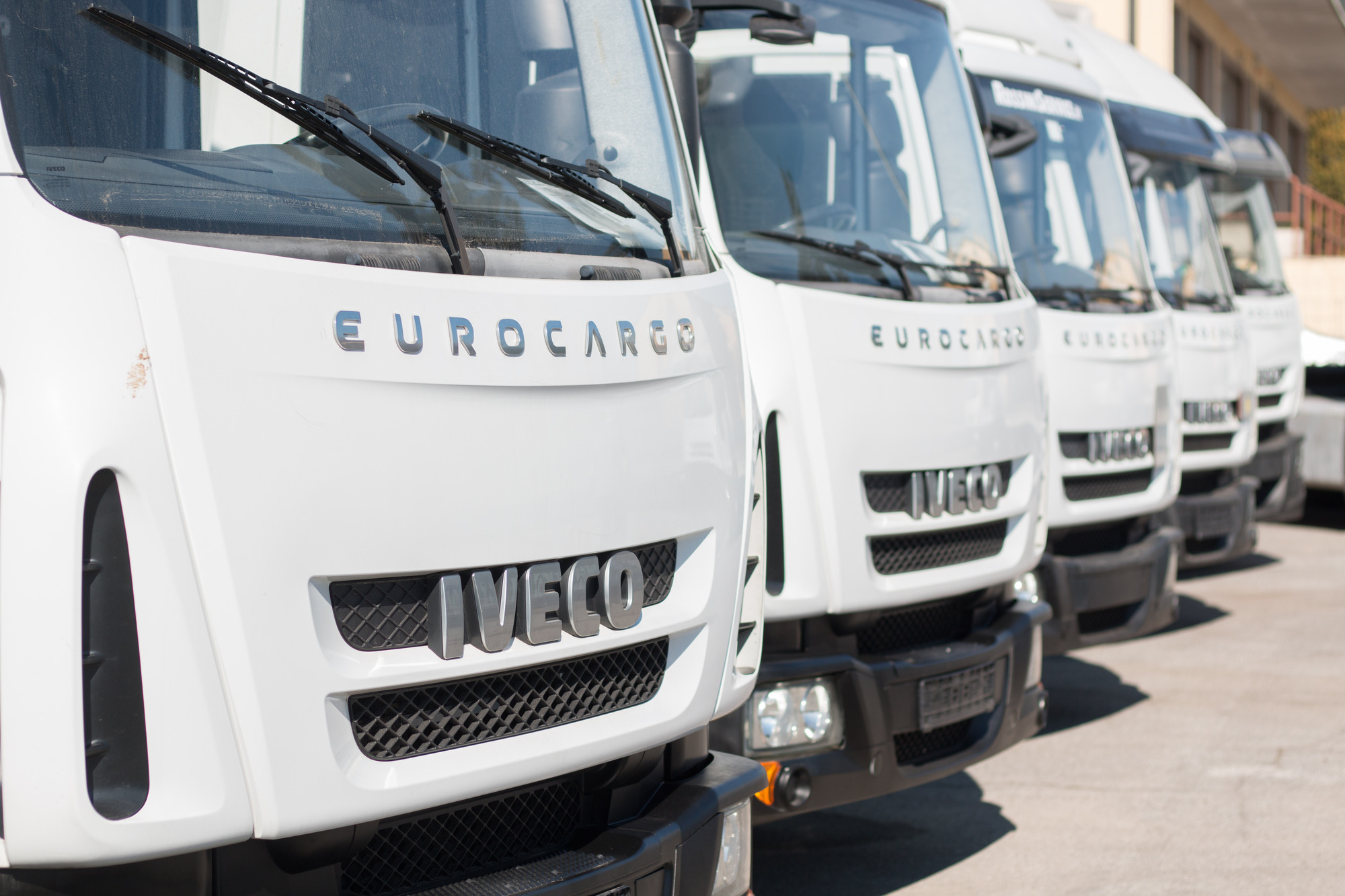 ROSSINI SERVICE SRL - oferta de vinzare undefined: Foto 3