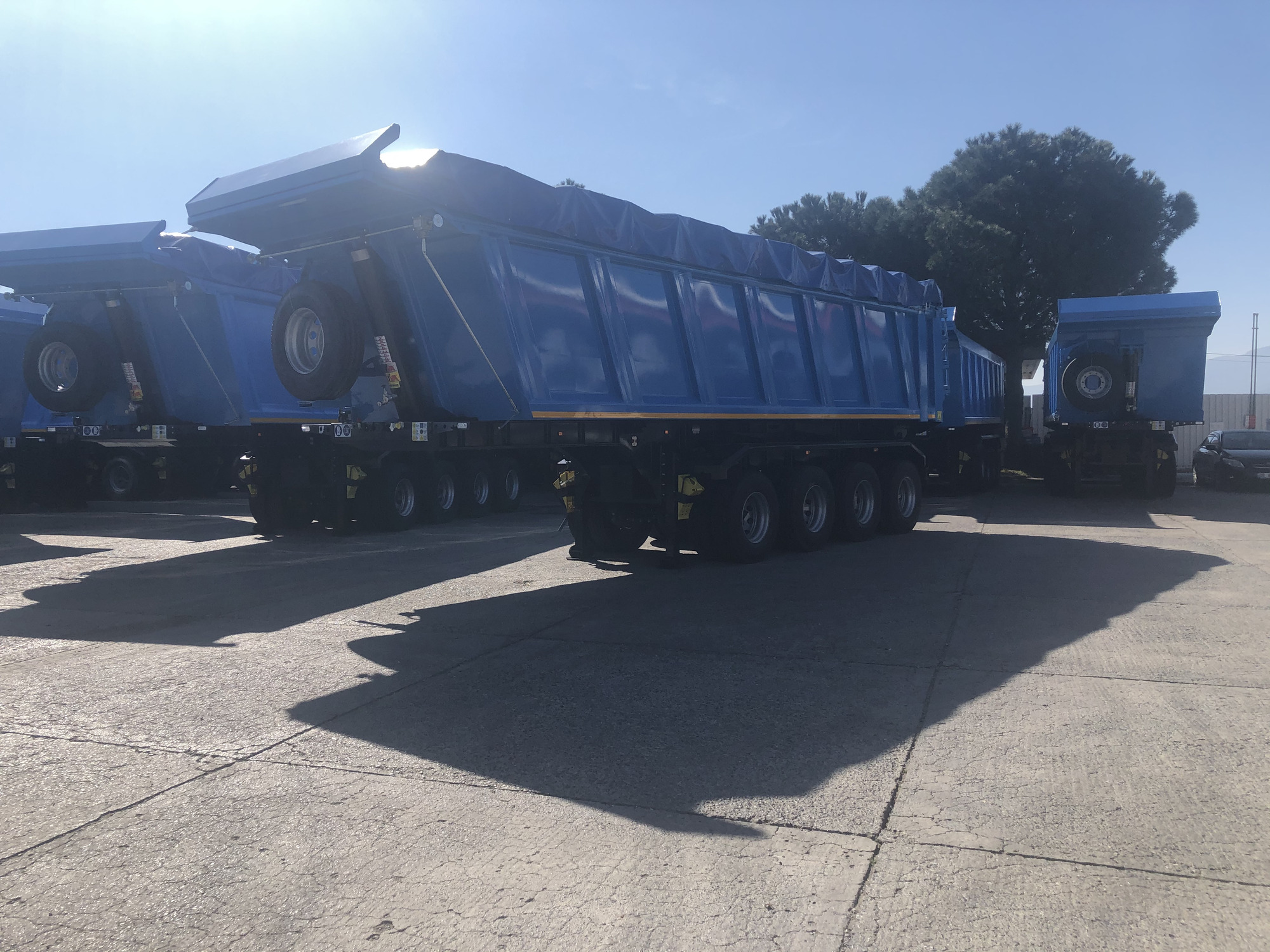 STAR YAGCILAR undefined: Foto 19