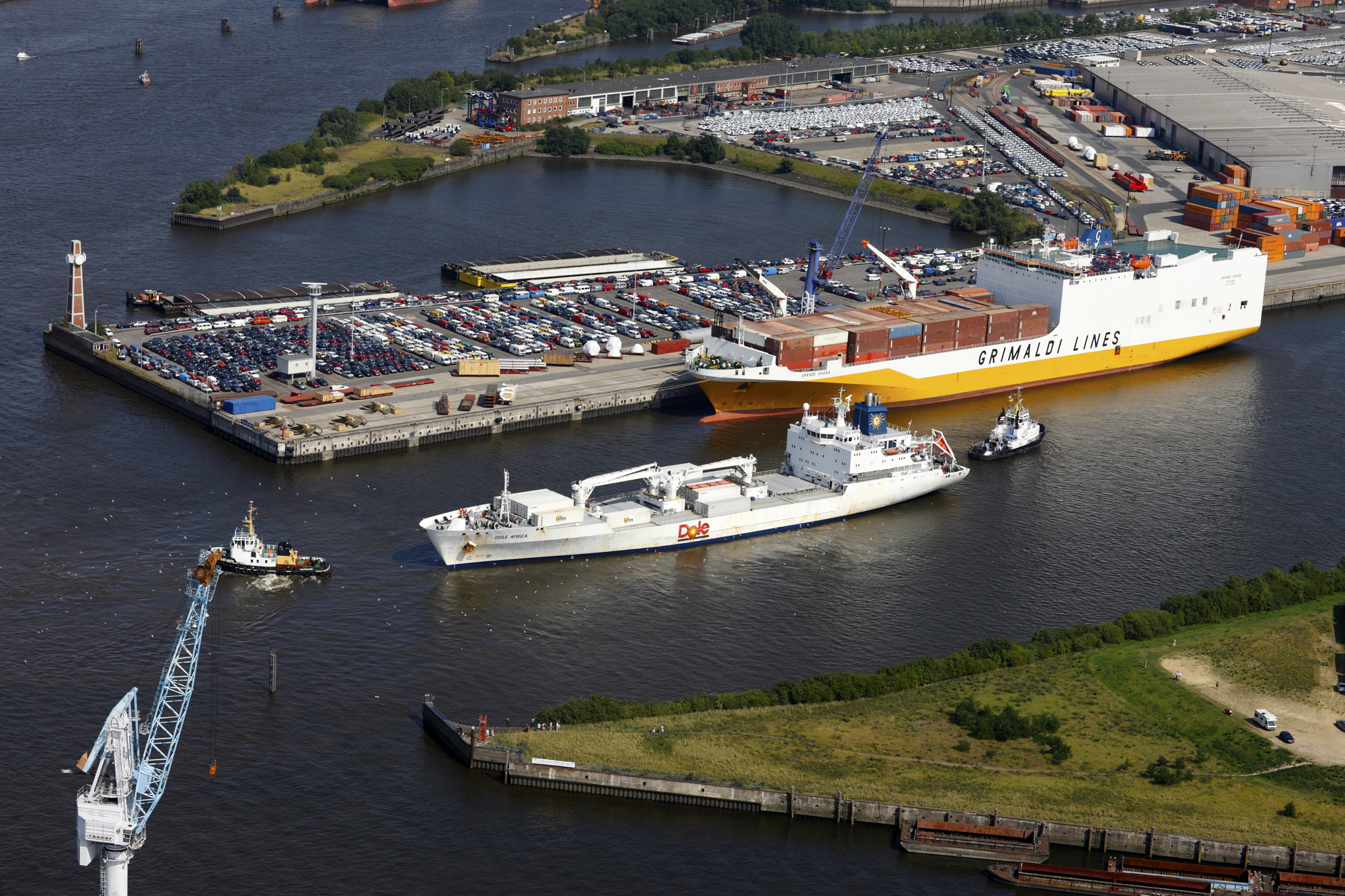 UnikTruck A/S - Stivuitoare HYSTER - An: 2019 undefined: Foto 11