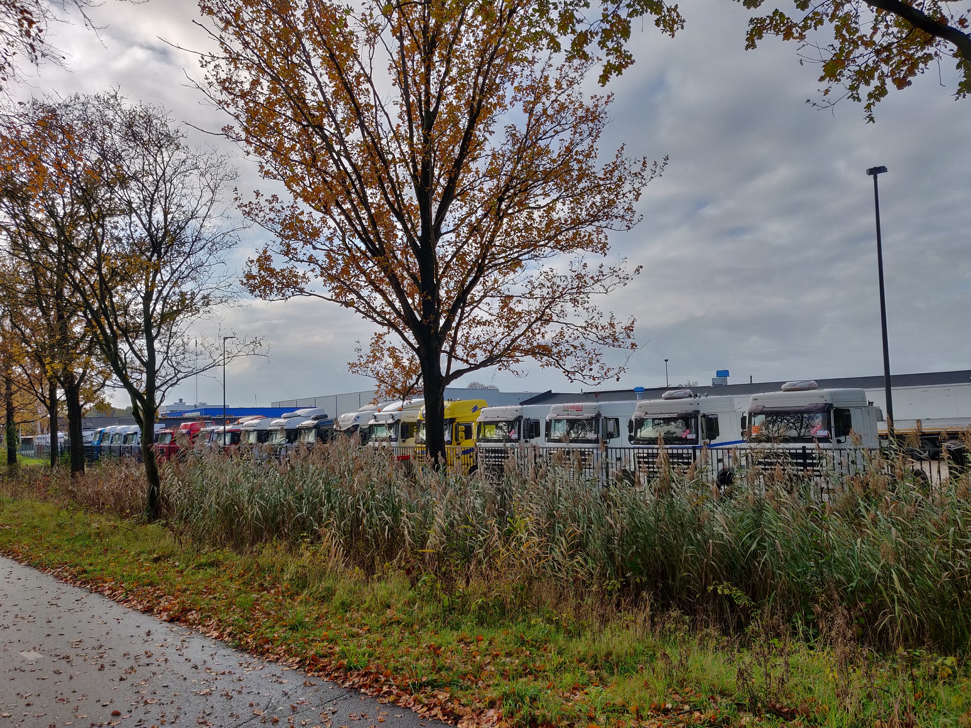 Truck Trading Holland undefined: Foto 17