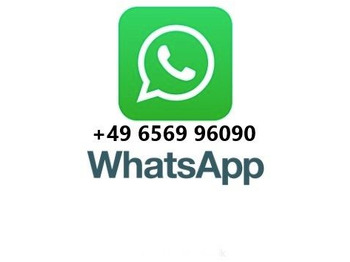 Camion şasiu Mercedes-Benz Actros 3340 6x6 Dautel Wechselsystem + Kupplung: Foto 2 Camion şasiu Mercedes-Benz Actros 3340 6x6 Dautel Wechselsystem + Kupplung: Foto 2