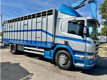 Camion furgon SCANIA P 310