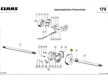 : fotografie din antet