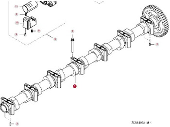 : fotografie din antet