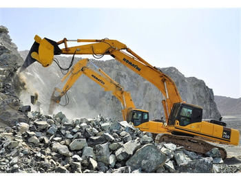 Dinte scarificator AME