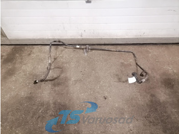 : fotografie din antet