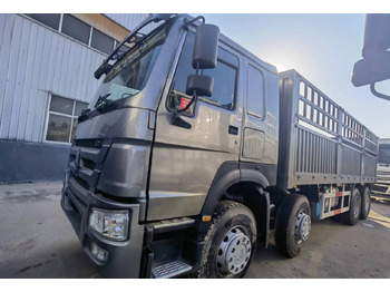 : fotografie din antet