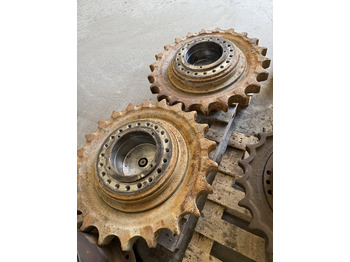 : fotografie din antet