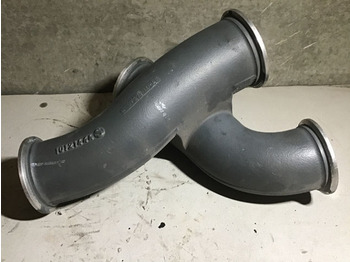 : fotografie din antet