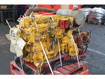 : fotografie din antet