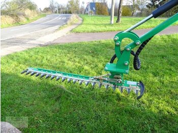 : fotografie din antet