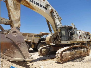 Excavator pe şenile LIEBHERR