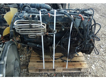 : fotografie din antet