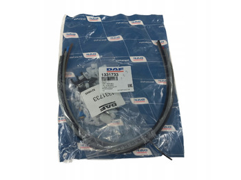 : fotografie din antet