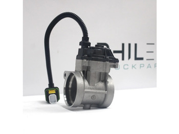 : fotografie din antet