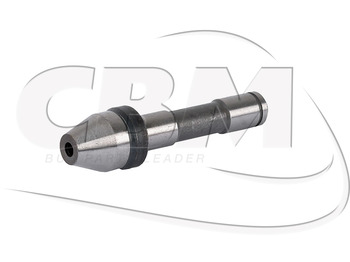 : fotografie din antet