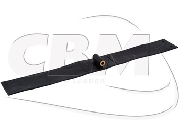 Uşă și piese IRISBUS