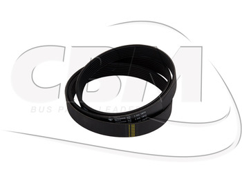 : fotografie din antet