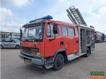 : fotografie din antet