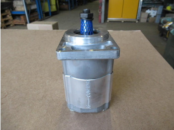 : fotografie din antet