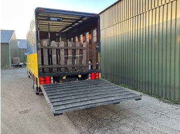 Camion SCANIA - TORPEDO - T 113 H 320- AUTOMATIC - TRUCK - 1996: Foto 5