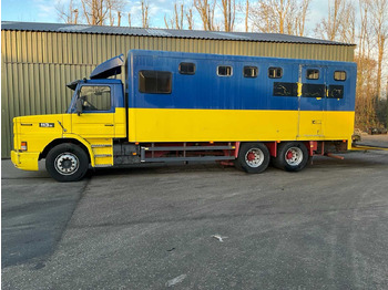 Camion SCANIA - TORPEDO - T 113 H 320- AUTOMATIC - TRUCK - 1996: Foto 3