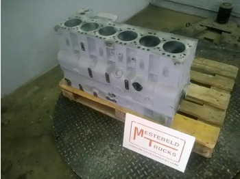 : fotografie din antet