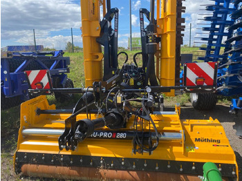 : fotografie din antet