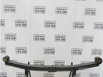 Primăvară suspensie/ Foi de arc suspensie DAF