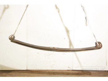 Primăvară suspensie/ Foi de arc suspensie DAF XF