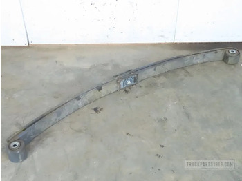 Primăvară suspensie/ Foi de arc suspensie DAF XF