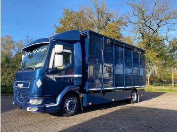 Camion transport animale DAF LF 280