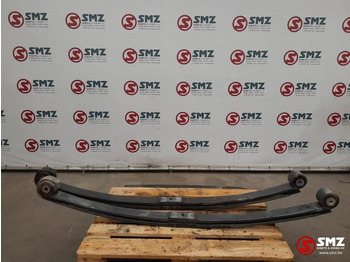 Primăvară suspensie/ Foi de arc suspensie DAF