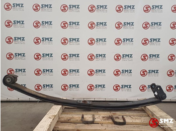 Primăvară suspensie/ Foi de arc suspensie DAF