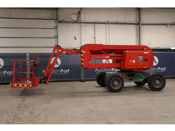 Nacela articulata HAULOTTE