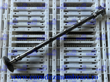 : fotografie din antet