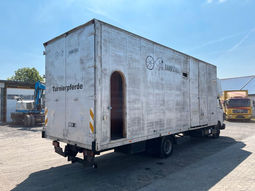 MAN VW-MAN LO2 Koffer Schlafkabine MAN VW-MAN LO2 Koffer Schlafkabine - Autoutilitară box: Foto 4 MAN VW-MAN LO2 Koffer Schlafkabine MAN VW-MAN LO2 Koffer Schlafkabine - Autoutilitară box: Foto 4