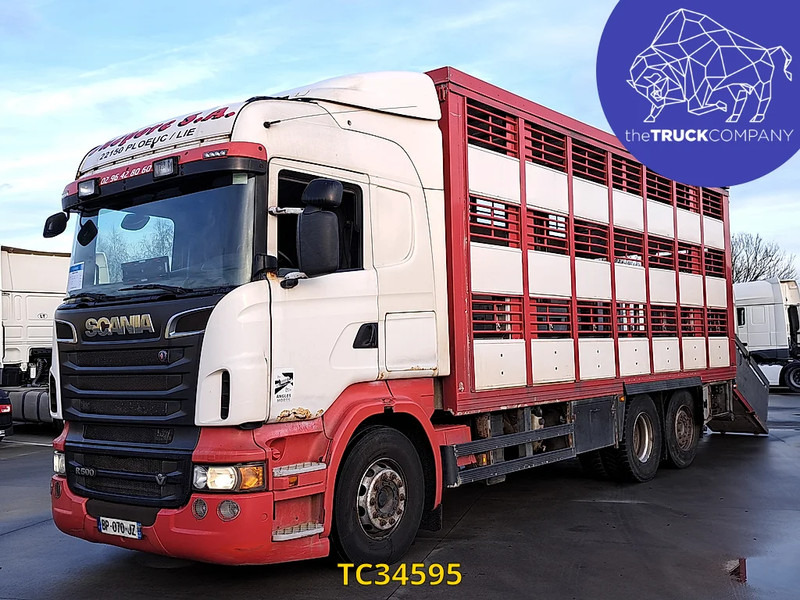 Scania R 500 - Camion transport animale: Foto 1 Scania R 500 - Camion transport animale: Foto 1