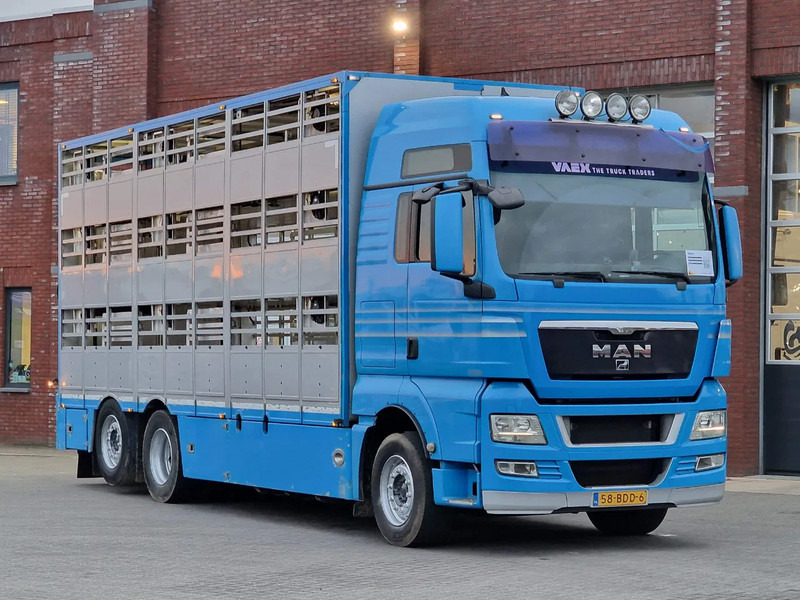 MAN TGX 26.440 6x2*4 - 3 deck Livestock - Water & Ventilation - Manual gearbox - Steering axle - Camion transport animale: Foto 2 MAN TGX 26.440 6x2*4 - 3 deck Livestock - Water & Ventilation - Manual gearbox - Steering axle - Camion transport animale: Foto 2