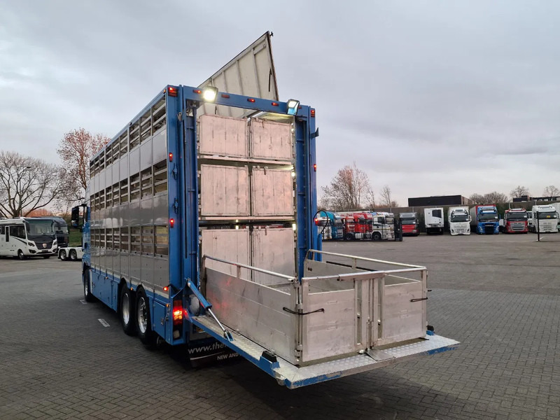 MAN TGX 26.440 6x2*4 - 3 deck Livestock - Water & Ventilation - Manual gearbox - Steering axle - Camion transport animale: Foto 5 MAN TGX 26.440 6x2*4 - 3 deck Livestock - Water & Ventilation - Manual gearbox - Steering axle - Camion transport animale: Foto 5