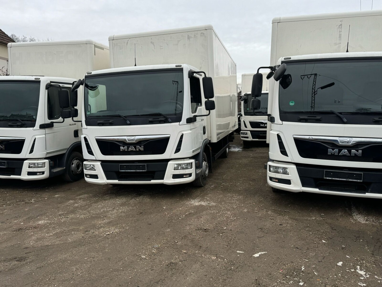 MAN TGL 8.150 4x2 BL TGL 8.150 4x2 BL, Möbelkoffer mit Rolltor - Camion furgon: Foto 3 MAN TGL 8.150 4x2 BL TGL 8.150 4x2 BL, Möbelkoffer mit Rolltor - Camion furgon: Foto 3