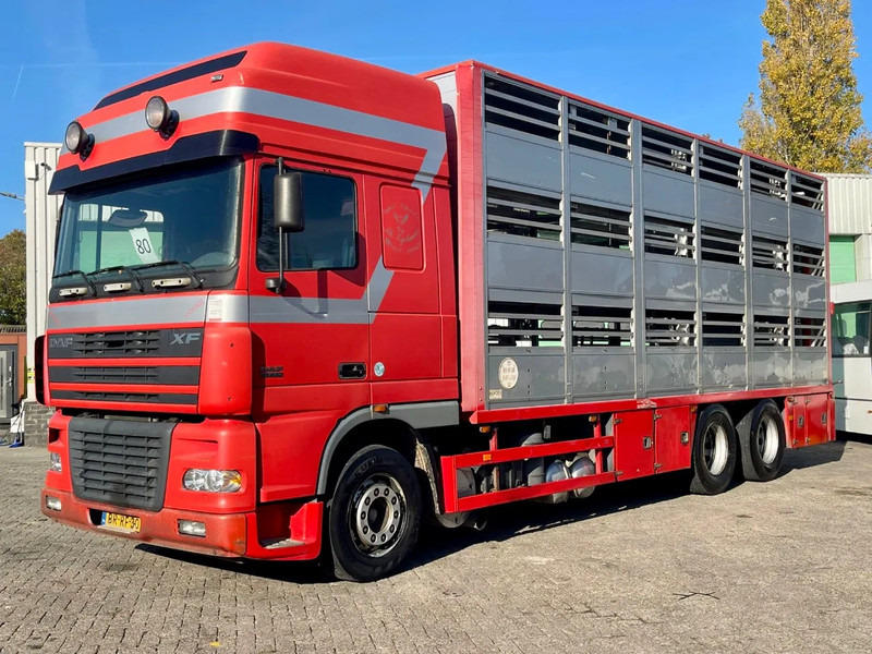 DAF XF 95.430 BERDEX 3 decks. Water, fans, Scales! Excellent condition. - Camion transport animale: Foto 2 DAF XF 95.430 BERDEX 3 decks. Water, fans, Scales! Excellent condition. - Camion transport animale: Foto 2