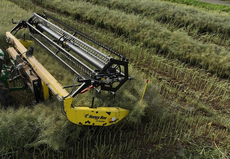 Honey Bee ST 15 - BANDSCHWADMÄHWERK - Heder: Foto 3 Honey Bee ST 15 - BANDSCHWADMÄHWERK - Heder: Foto 3