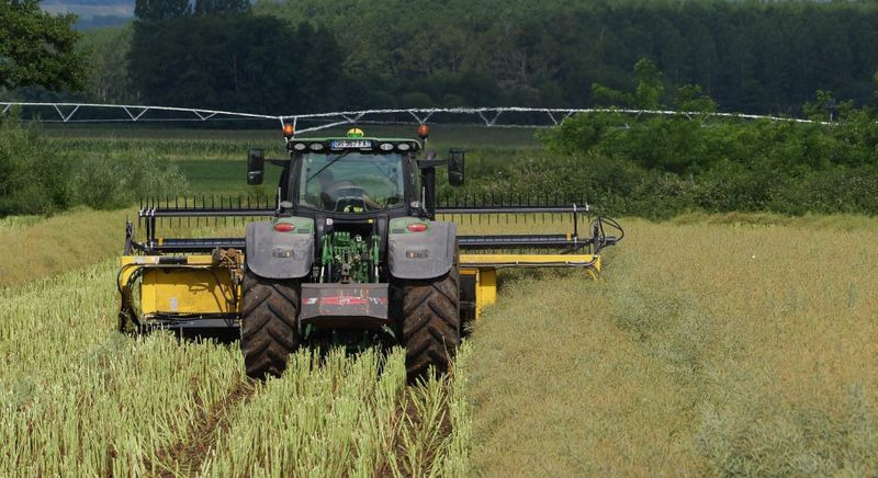 Honey Bee ST 25 - BANDSCHWADMÄHWERK - Heder: Foto 1 Honey Bee ST 25 - BANDSCHWADMÄHWERK - Heder: Foto 1