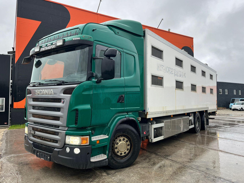 Scania G 480 6x2*4 BOX L=9212 mm / COOLANT LEAKAGE ON 3 RD CYLINDER - Camion transport animale: Foto 2 Scania G 480 6x2*4 BOX L=9212 mm / COOLANT LEAKAGE ON 3 RD CYLINDER - Camion transport animale: Foto 2