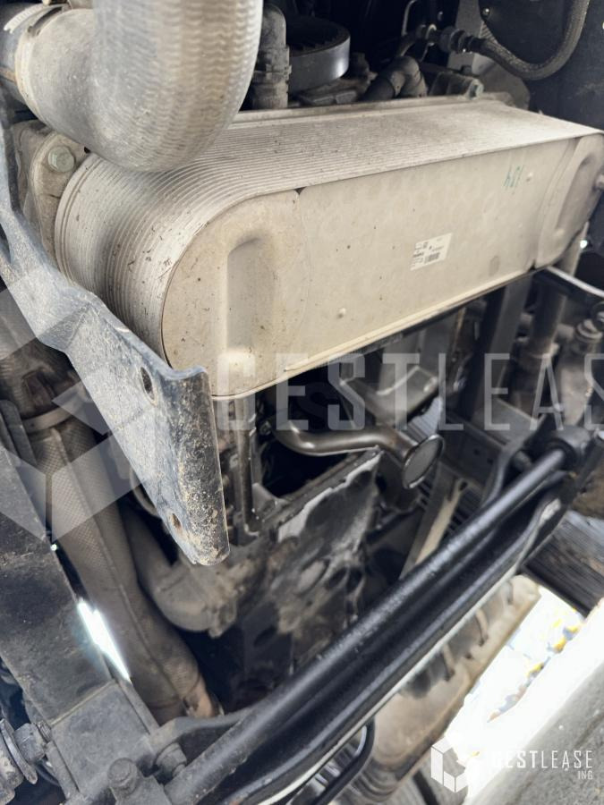 MAN TGX 18.460 - Cap tractor: Foto 5 MAN TGX 18.460 - Cap tractor: Foto 5