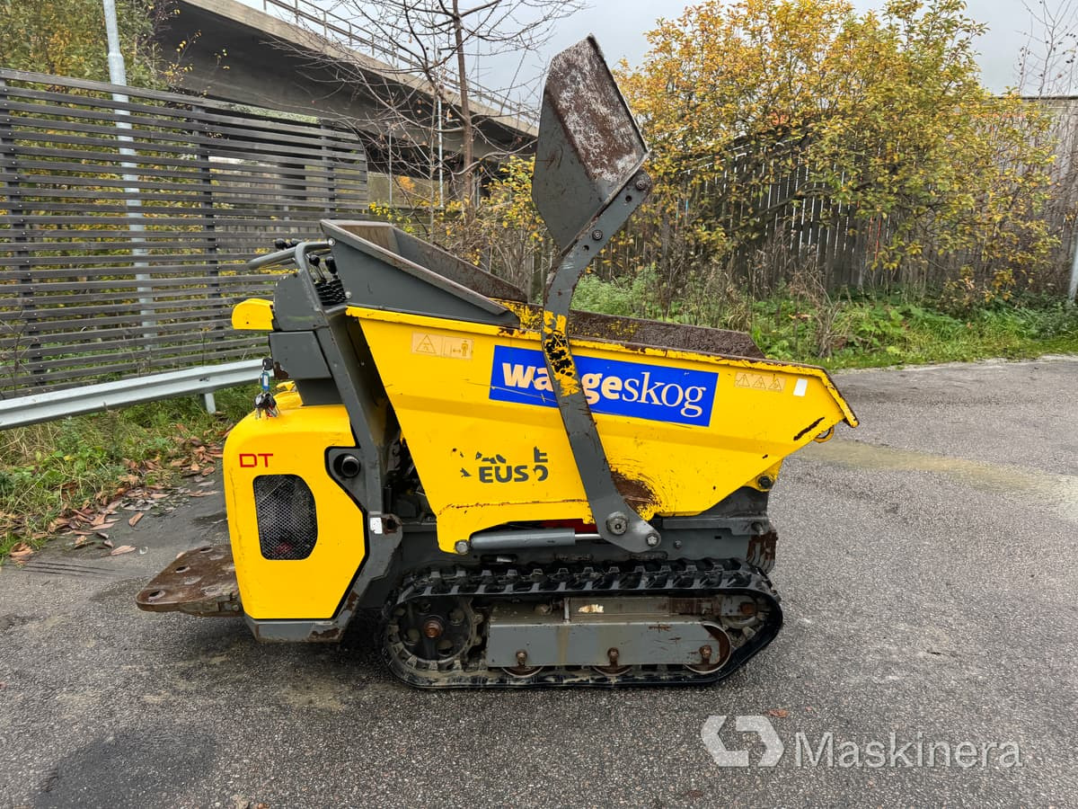 Minidumper Wacker Neuson DT08 D - Autobasculanta pe senile: Foto 4 Minidumper Wacker Neuson DT08 D - Autobasculanta pe senile: Foto 4