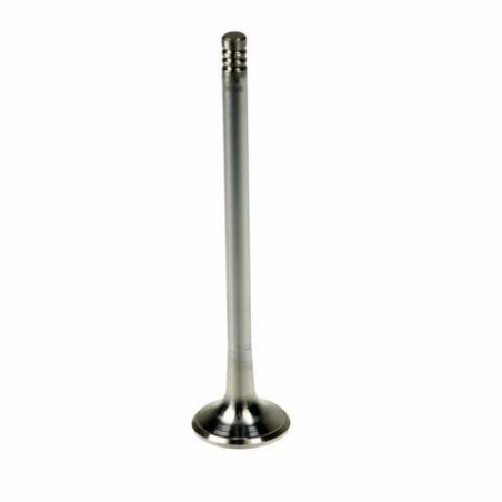 MAN MAN Exhaust Valve 51041010538 D0834 D0836 - Sistem de evacuare: Foto 1 MAN MAN Exhaust Valve 51041010538 D0834 D0836 - Sistem de evacuare: Foto 1