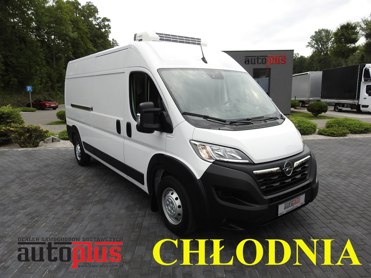 OPEL MOVANO REFRIGERATOR VAN 0*C HEATING FUNCTION AIR CONDITIONING 140HP - Autoutilitară frigorifica: Foto 1 OPEL MOVANO REFRIGERATOR VAN 0*C HEATING FUNCTION AIR CONDITIONING 140HP - Autoutilitară frigorifica: Foto 1