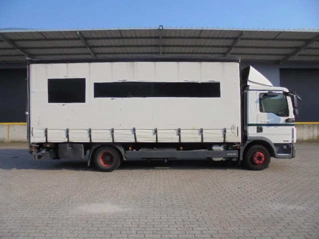 MAN TGL 10-180 NL TRUCK - Camion furgon: Foto 4 MAN TGL 10-180 NL TRUCK - Camion furgon: Foto 4